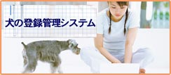 犬の登録管理システム